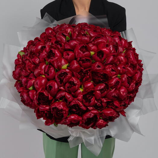 75 bujori bordo