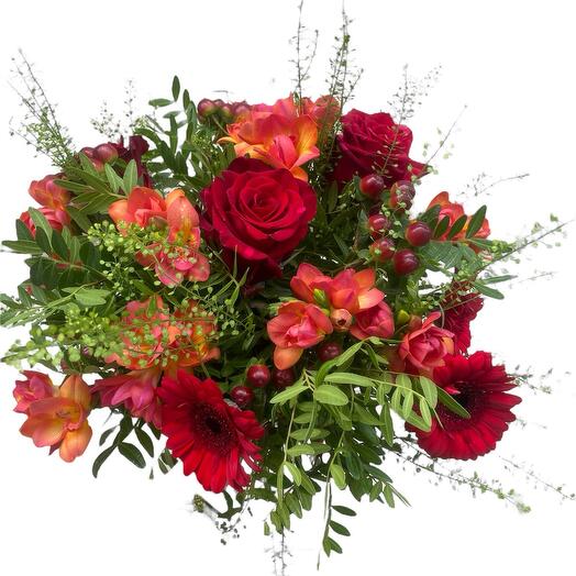 Red roses germinas fresias