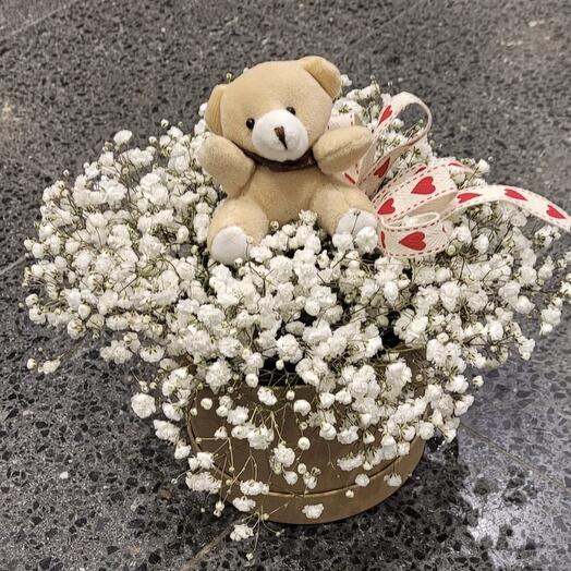 Harsokka asetelma nallen kanssa