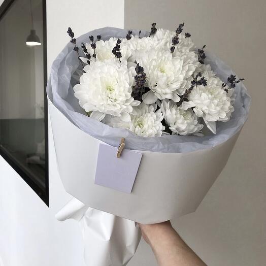 Хризантема Алтай с лавандой