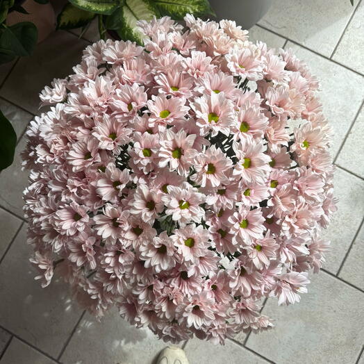 21 stems of chrysanthemum