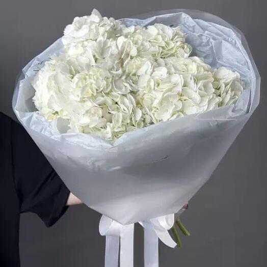 Ramo con 5 Hortensias Argentina