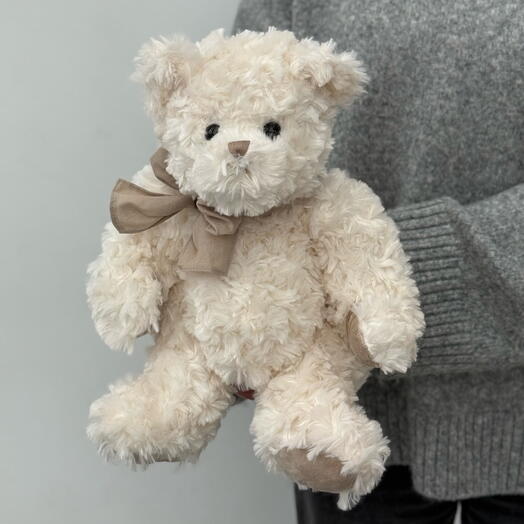 Bukowski teddy bear boy white