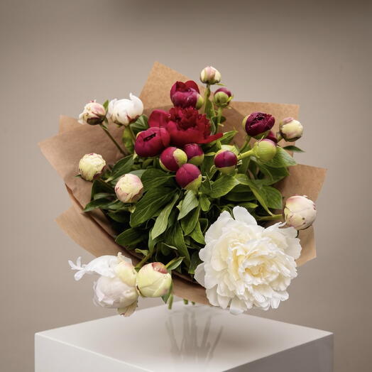 Peonies Mix