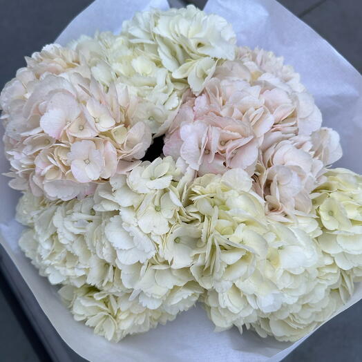 Mono bouquet with hydrangeas