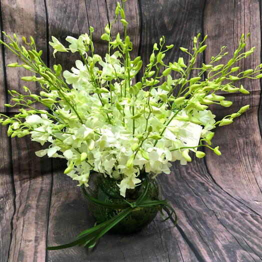 Bouquet Snow box orchids! Win Her heart at first sight :)