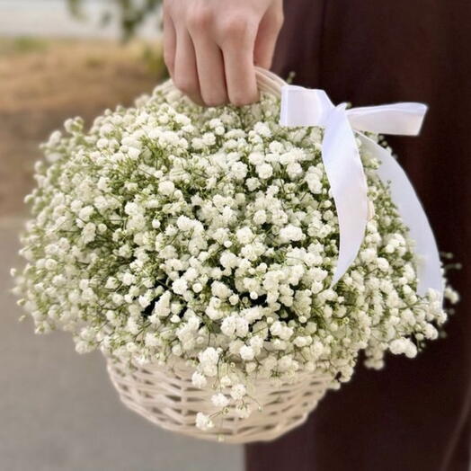 Корзина белой гипсофилы