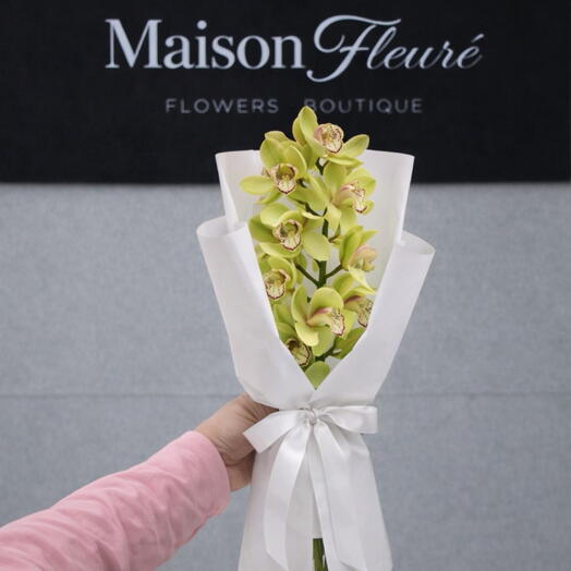 Orchidee - Cymbidium  grun-gelb