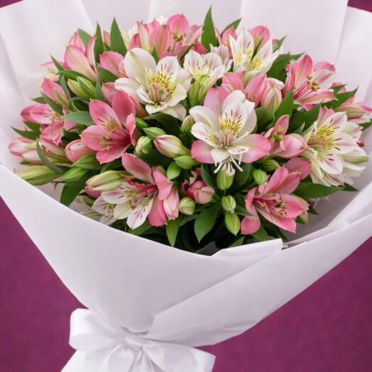 Alstromeria weis - rosa