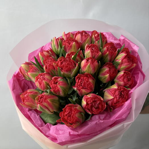 Tulipanes dobles | Tulipanes peonía