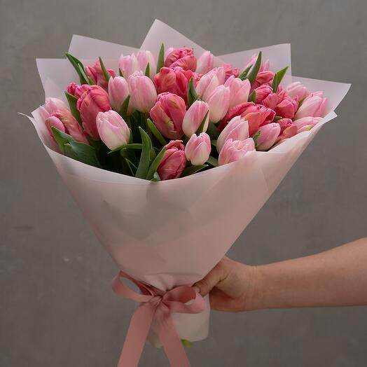 Pink flutter - Tulips