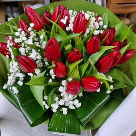 20 tulipani rossi con nebbiolina