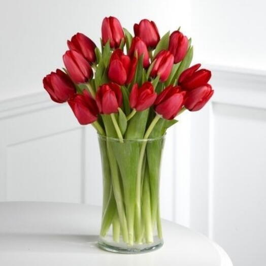 Red Tulips