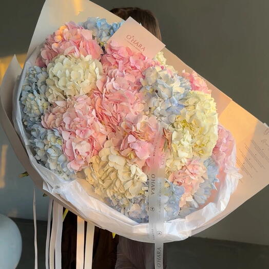 Wonderful Hydrangeas Cloud L