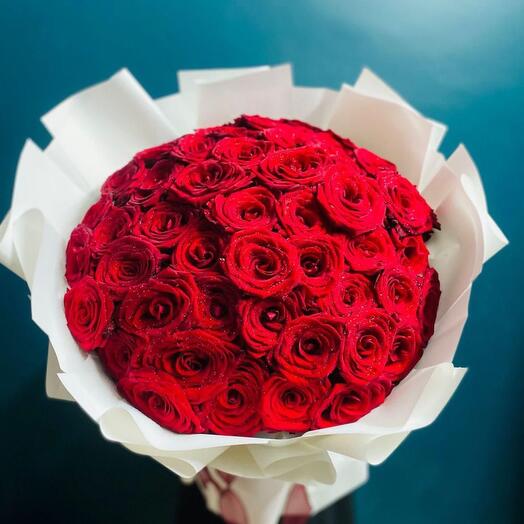 51 red roses | 51 red Rose