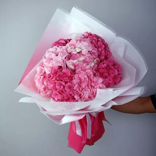 Pink   Hydrangeas