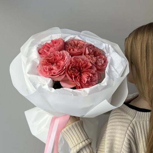 РОЗА "КЕНДИ ЭКСПРЕШН"