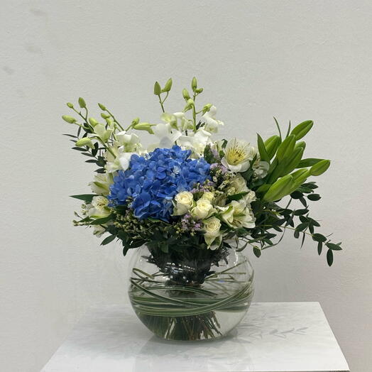 سنس فازة مولود السعاده