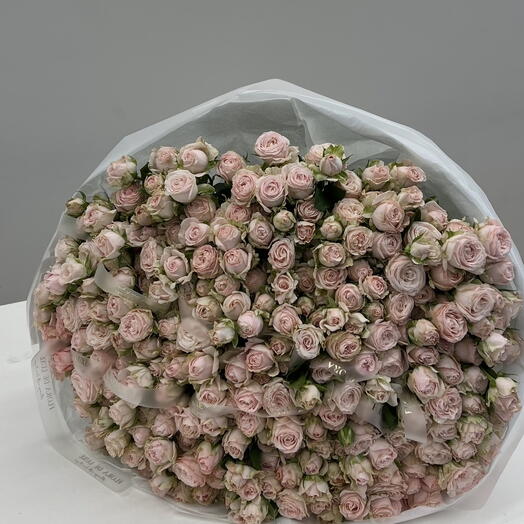Romantic Cloud of Roses