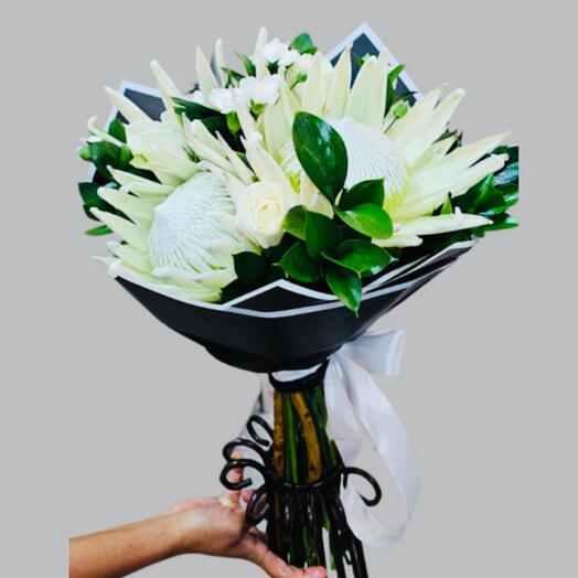 Wrapped bouquet of king protea