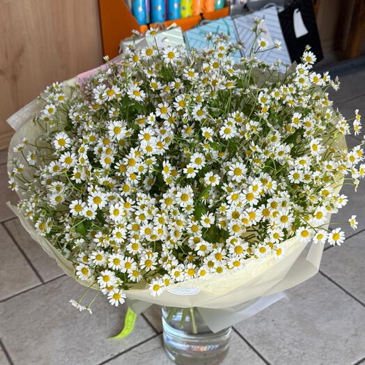 A large bouquet of chamomile for a delicate girl