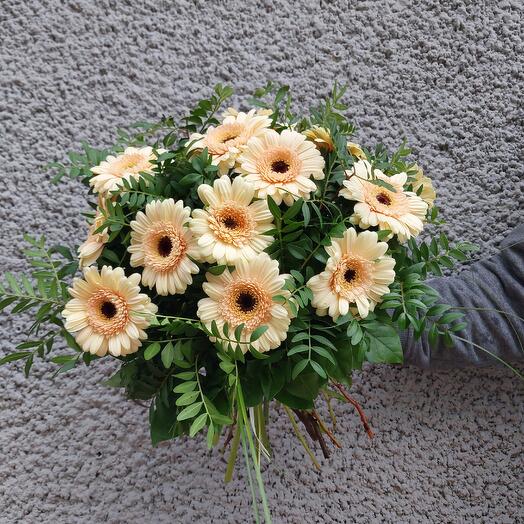 15 beige gerberas