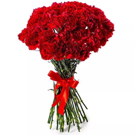 35 czerwonych dianthusow