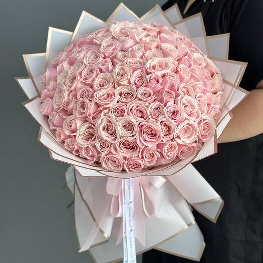 101 Sweet Pink Roses Semi Holland