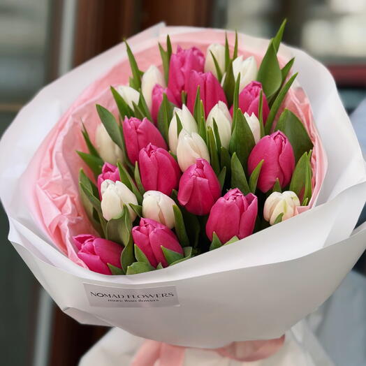 🌷 25 Pink and White Tulips