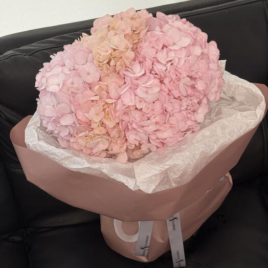 Pink Hydrangeas Dream