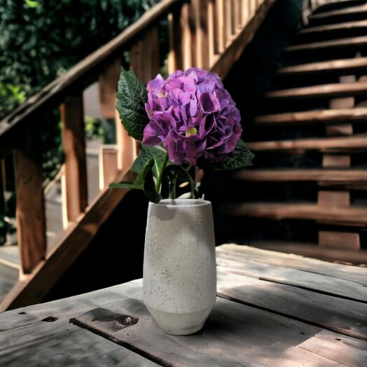 Hydrangeas (Mixed colours), price is indicated per stem