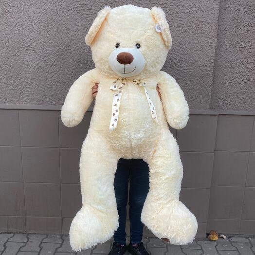 Teddy bear XXXXL