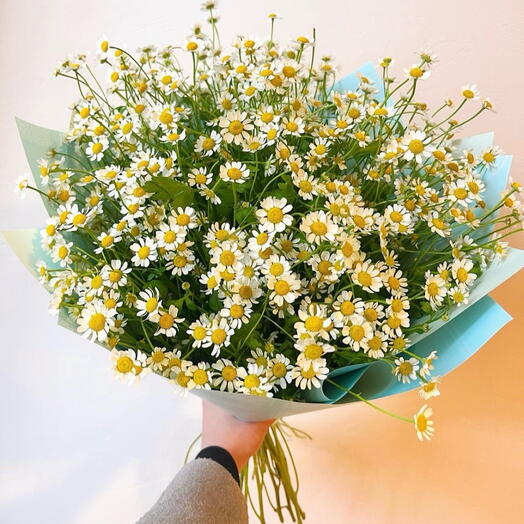 Puokstė "Vasara" M dydis