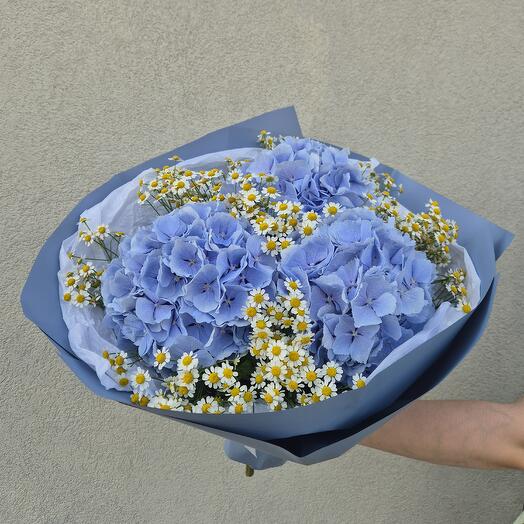 Bouquet "Blue Dreams" - Hydrangea and Chamomile