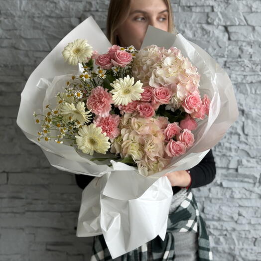 Muse - герберы