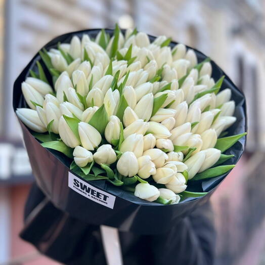 101 White Tulips