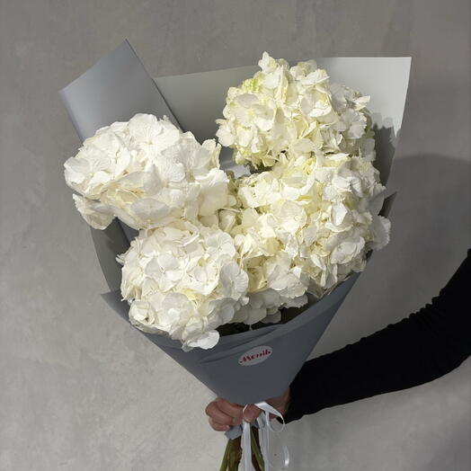 Hydrangea white 5