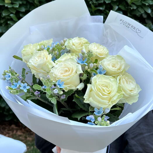 Roses with Oxypetalum