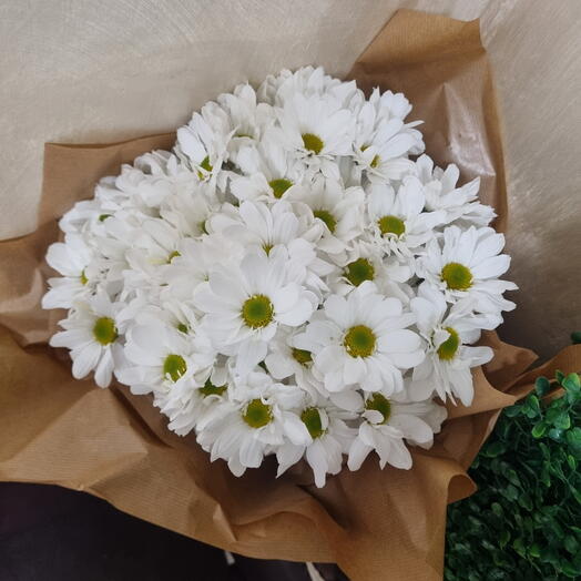 Bouquet di Margherite bianche