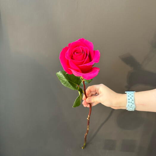 Роза Пинк Флойд