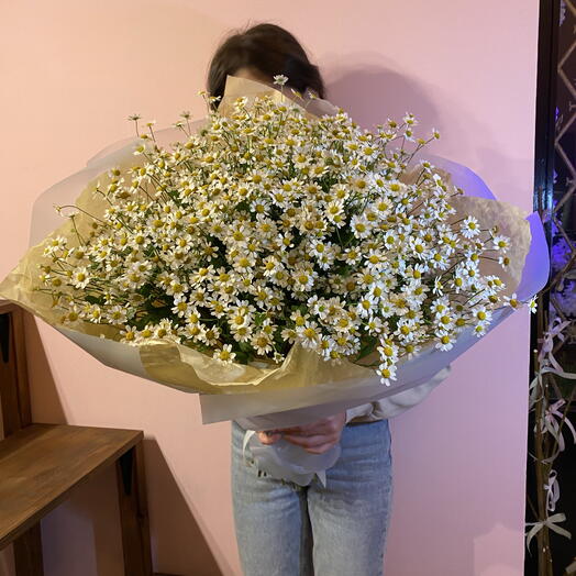 Chamomile bouquet