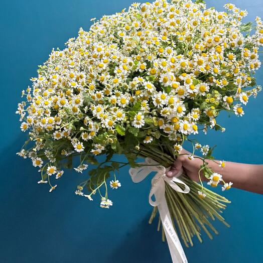Daisy 🌼  Букет ромашек