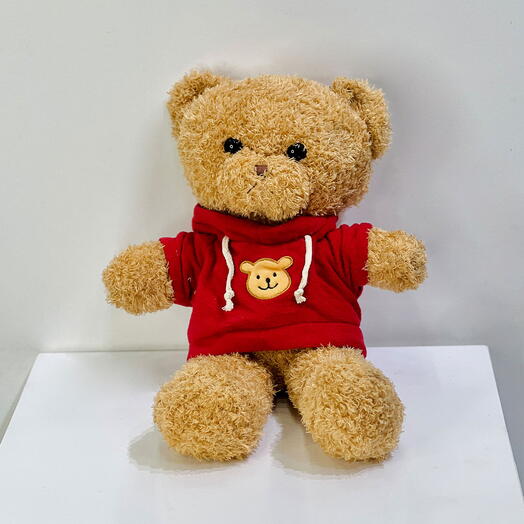 Surprise Teddy Bear Random color