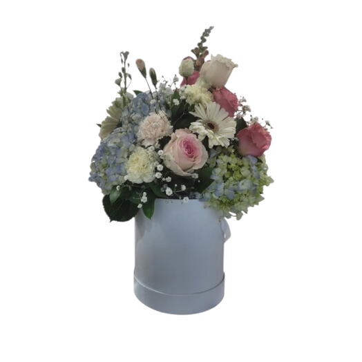 Day light  bright colors arangment