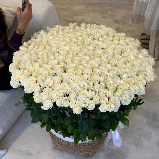 Basket 301 White Semiholand roses