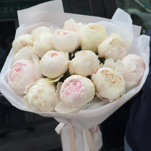 Ivory Dream — 15 Peonies