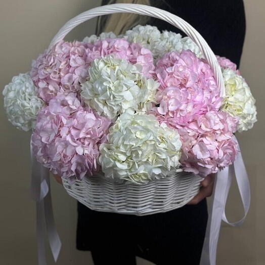 Корзина с гортензий микс