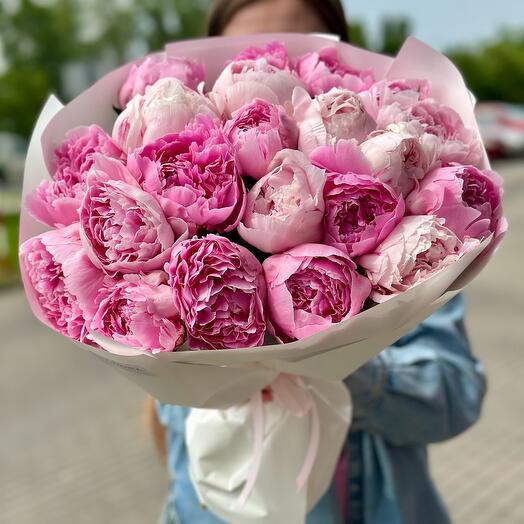 Пион 21 дана