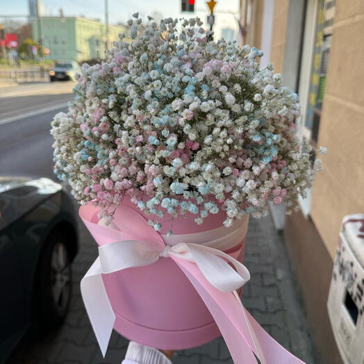 Gipsophila colorida blanco-rosa en caja