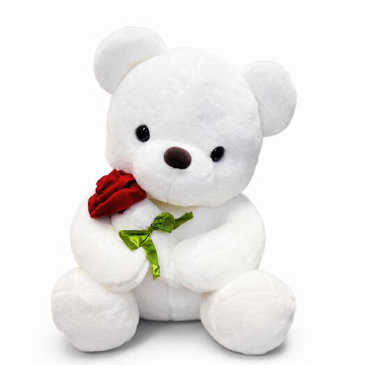 White Teddy with Rosa 45 cm